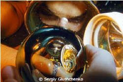 Fisheye by Sergiy Glushchenko 